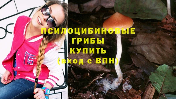ALPHA PVP Алзамай