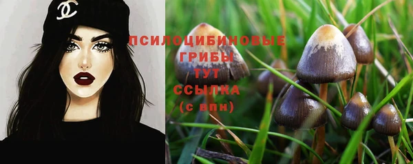 спиды Алексин