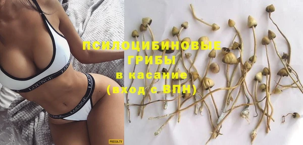 спиды Алексин