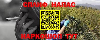 гидра Наро-Фоминск