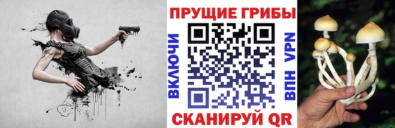 KRAKEN рабочий сайт  Чистополь  это официальный сайт  Галлюциногенные грибы мухоморы 