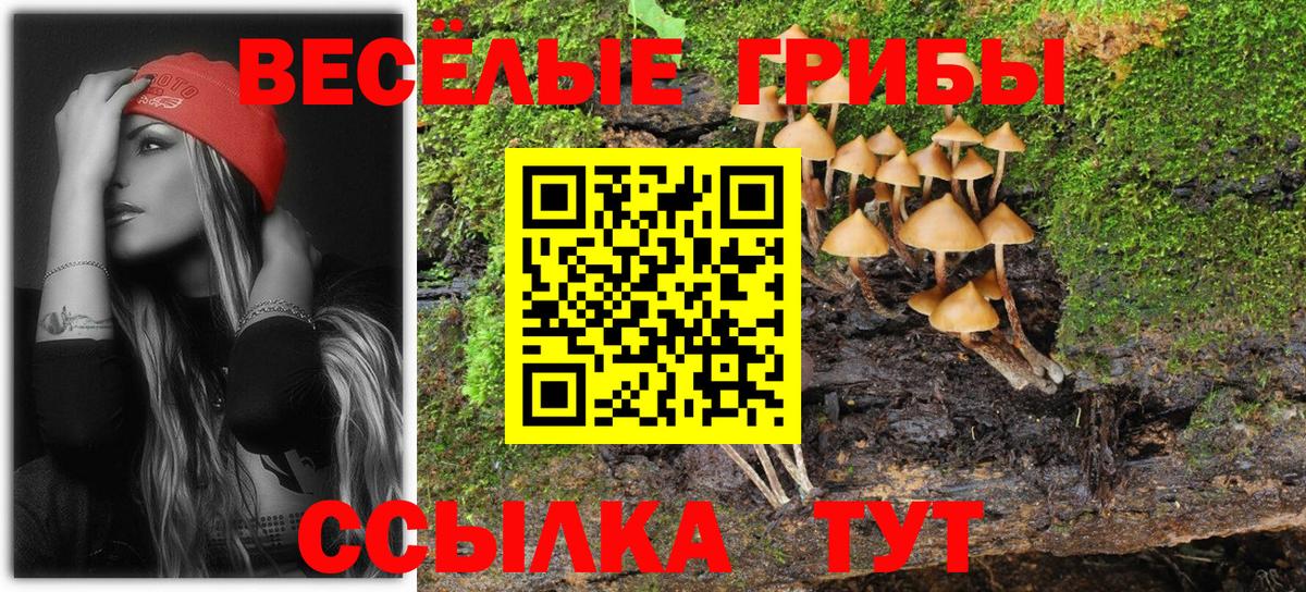 где найти наркотики  Вход с VPN  Чистополь  Галлюциногенные грибы мицелий 