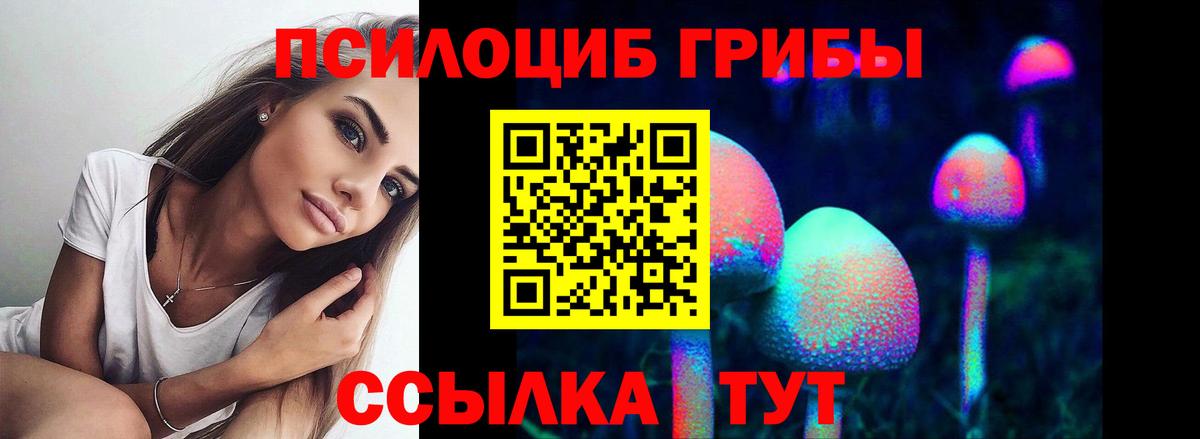 Псилоцибиновые грибы прущие грибы Чистополь